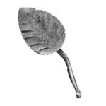 steel leaf